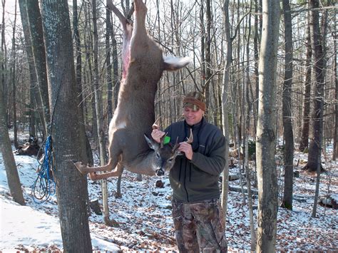 Most bears are shot here as targets of opportunity by <b>deer</b> hunters. . Deer hunting outfitters in new york